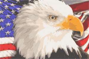 image of American Eagle