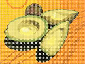 image of Avocado