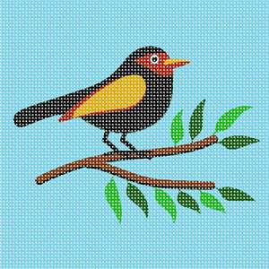 image of Beginner Bird