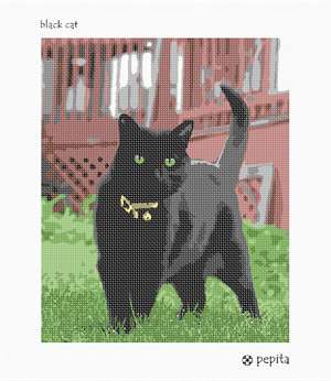 image of Black Cat