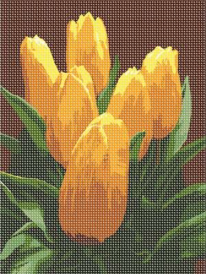 image of Bunch Yellow Tulips