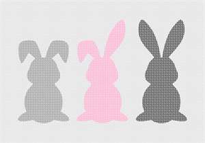 image of Bunny Rabbits