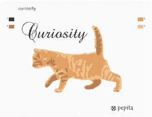 Curiosity