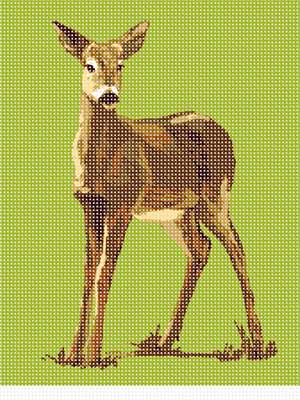 image of Deer