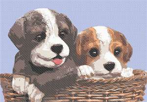 image of Dogs In Basket