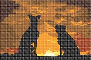 image of Dogs Sunset Silhouette