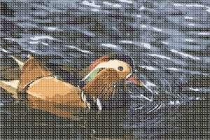 A male Mandarin duck. With its red bill, whiskers and white crescent above the eyes, the male is much more colorful than the female.
