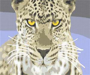 image of Fierce Leopard