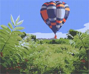 image of Hot Air Balloon Over Meadow