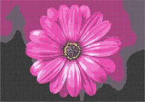 image of I Love Hot Pink Flower