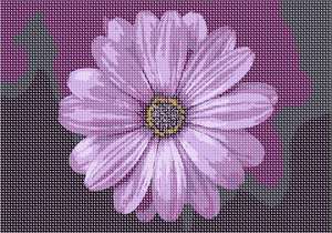 image of I Love Purple Flower
