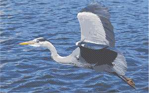 A Grey Heron flying gracefully over roiling ocean water.