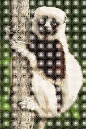 image of Lemur 