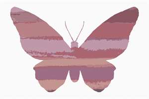 image of Ombre Butterfly Earth Tones