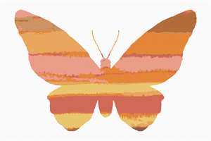 image of Ombre Butterfly Orange