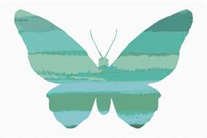 image of Ombre Butterfly Teal