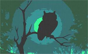 image of Owl At Night