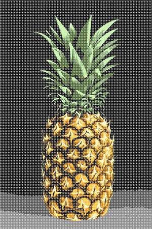 image of Pineapple Still Life