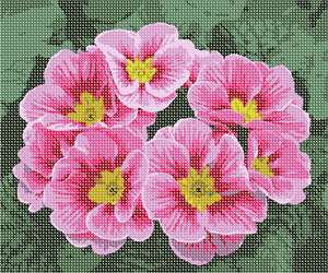 image of Pink Blossoms