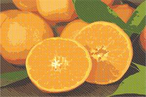 image of Navel Oranges