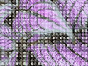 image of Purple Leaves