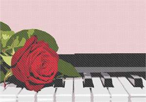 image of Red Rose Piano