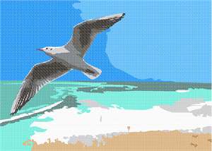 image of Sea Gull