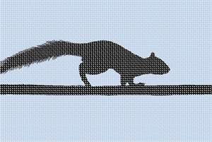 The squirrel running across the telephone wires.