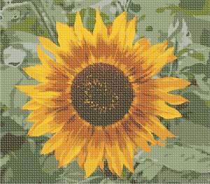 image of Sunflower Close
