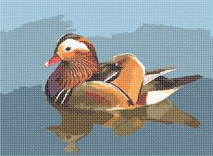 A duck paddling away