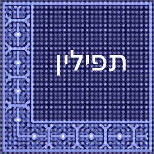 Corner flourish design in blue colors.
