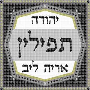 Tefillin Hexagon