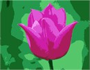 Needlepoint: Tulip Up Close