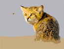Needlepoint: Cat And Fly