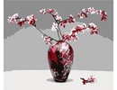 Cherry Blossoms