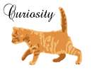 Needlepoint: Curiosity