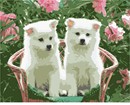 Needlepoint: Cute Puppies