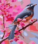 Needlepoint: Fantail