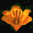 Needlepoint: Flower Orange