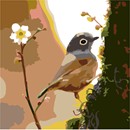 Needlepoint: Sunbird