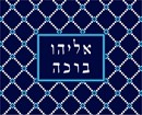 Needlepoint: Talit Trellis 1 Blue