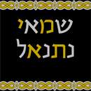 Needlepoint: Tefillin bag 6