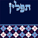 Needlepoint: Tefillin Argyle