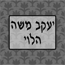 Needlepoint: Tefillin Pattern Tulip