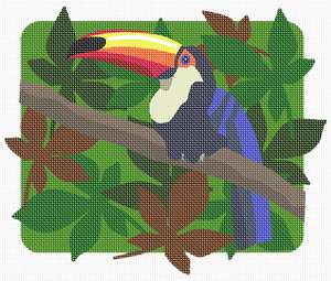 image of Toucan