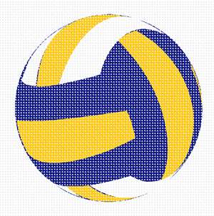 image of Volleyball