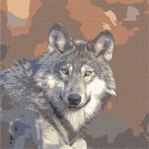 image of Gray Wolf