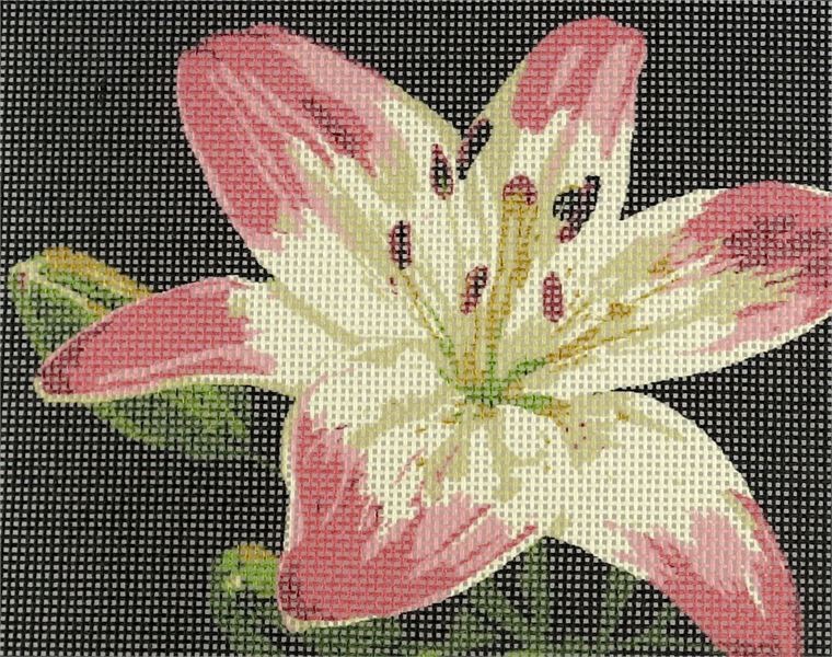 Needlepoint Canvas - Pink Lily