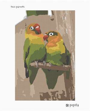 image of Two Parrots