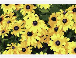 image of Black Eyed Susan